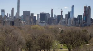 Long A New York Real Estate Mainstay, LLCs lose their anonymity