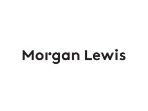 German taxation of intellectual property rights Morgan Lewis