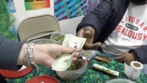 Meet NJ Black Market Weed Seller, whose store is located in City Hall - NBC New York