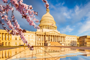 This Week In Washington - Chamber Business News