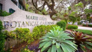 Marie Selby Botanical Garden in Sarasota.