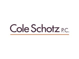 Starting an Active Company in an Opportunity Zone |  Cole Schotz