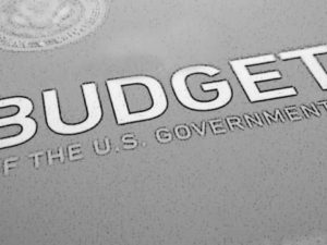 The U.S. Government's Budget Process