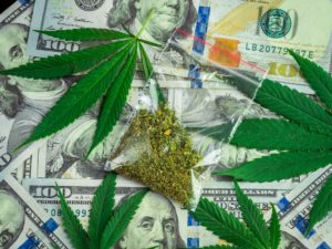 What happens if the US Senate decides to decriminalize marijuana?  • LegalScoops