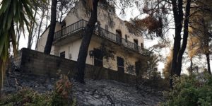 State measures to compensate for forest fire emergencies come into force |  Greece, economy